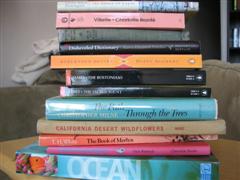 Recent_Arrivals_(WinCE).jpg